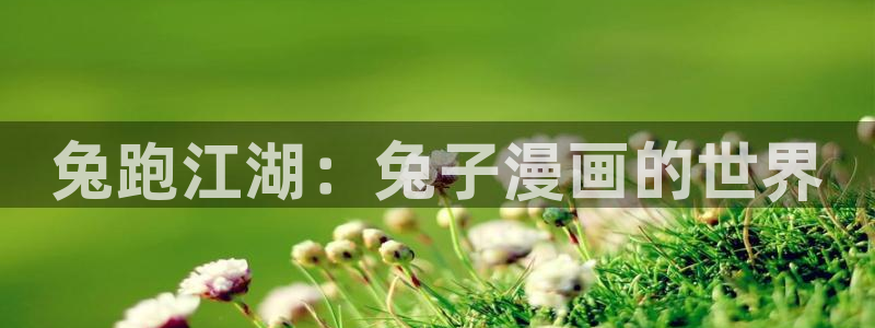 奇漫屋怎么免费看漫画：兔跑江湖：兔子漫画的世界