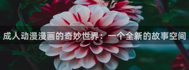 奇漫网漫画下拉式奇漫屋漫画：成人动漫漫画的奇妙世界：一个全新的故事空间